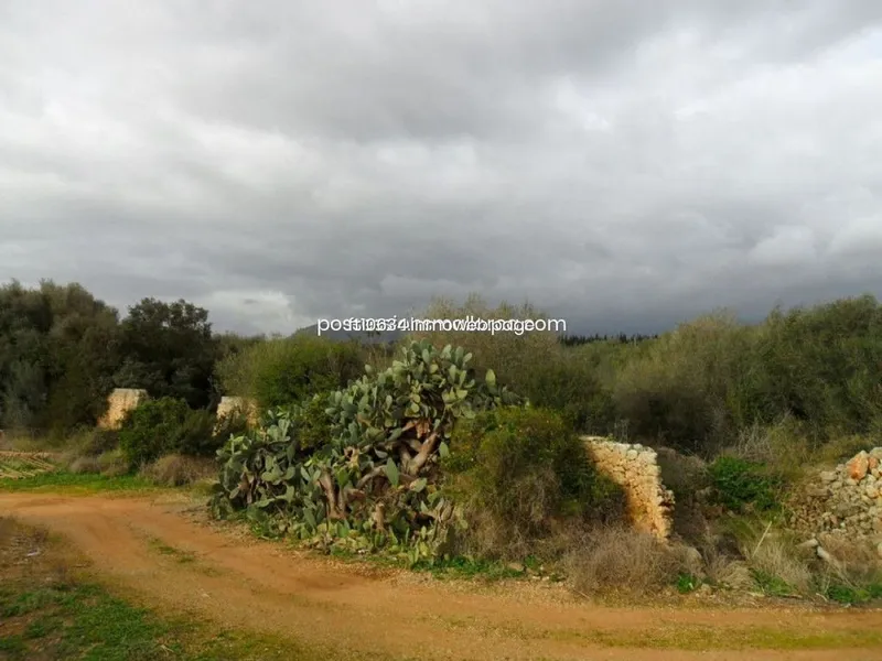 Rural or Farmhouse in Llubí, Province of Balearic Islands — photo 5