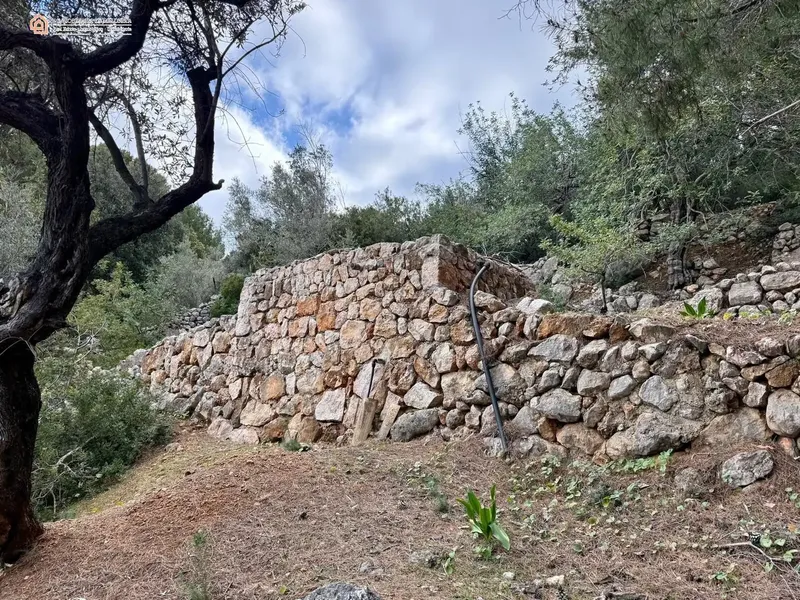 Discover this impressive rustic estate located in the beautiful area of Biniaraix, where nature and tranquility come together to offer — photo 8