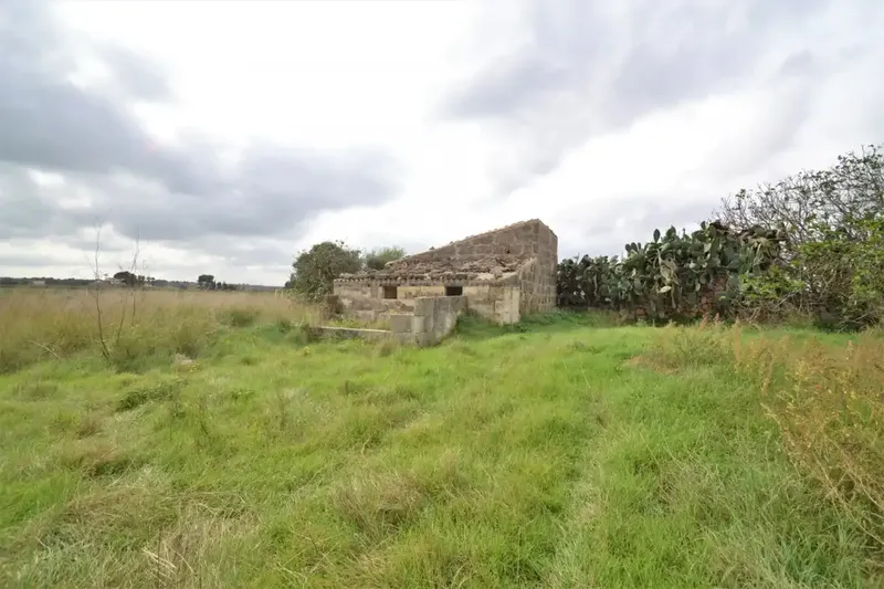 Plot of 24300 square meters with tool shed to renovate — photo 2