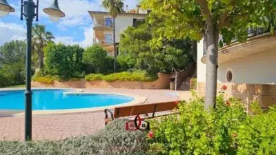 Apartment in La Teulera — photo 4