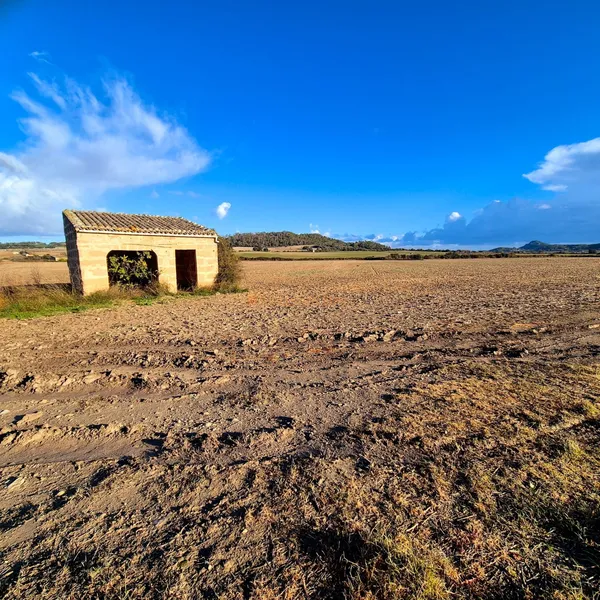 Buildable rustic plot for sale in Montuïri — photo 4