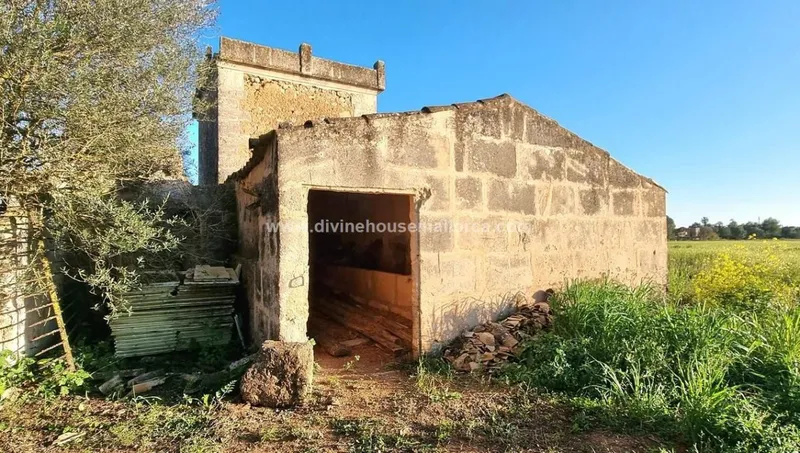 Finca to renovate in quiet area between Santanyí and Campos — photo 5