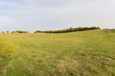 Land for sale in Manacor — photo 8