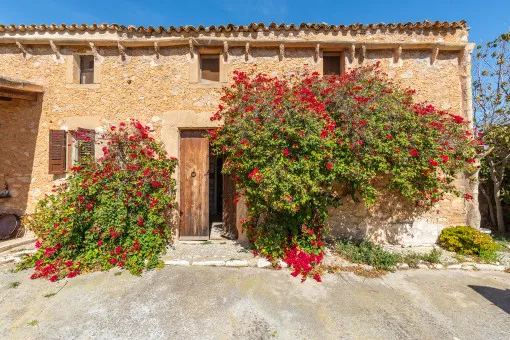 San Lorenzo, unique natural stone finca with a 50-hectare plot in Sant Llorenç — photo 3
