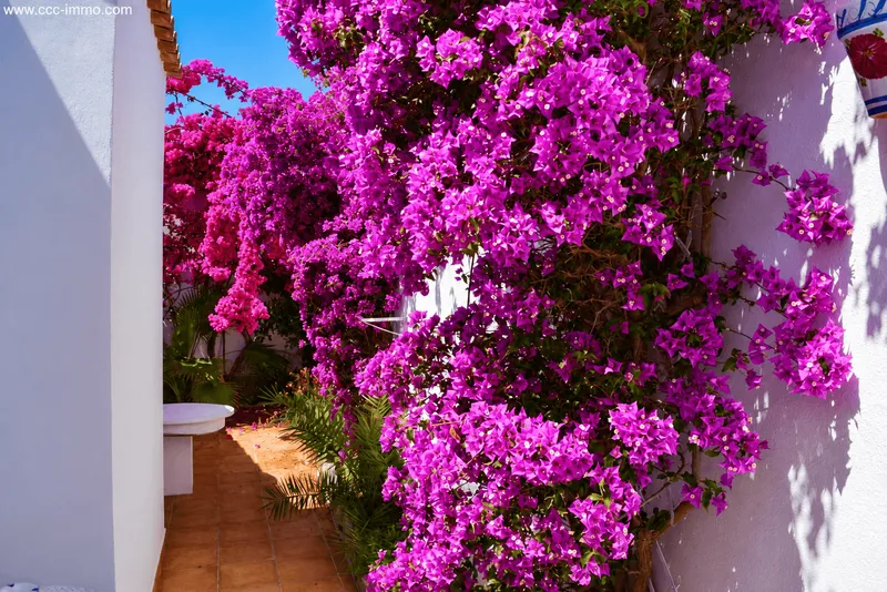 Mediterranean house with idyllic patio – only 5 minutes' walk to the beach — photo 6