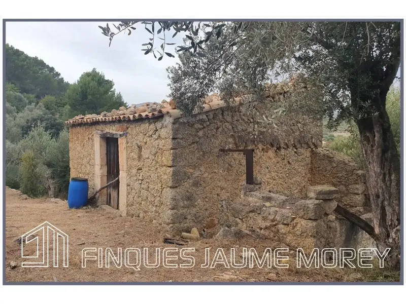 Discover your perfect refuge in nature! This charming rustic mountain property, located at the foot of the majestic Tramuntana mountain range — photo 2