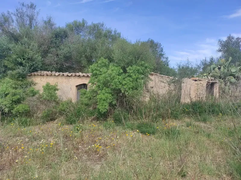 For Sale: Magnificent Estate of 24,800m2 with Project for a 350m2 Single-Family Home in Sineu — photo 1
