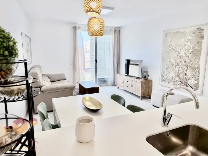 Jaume Balmes, penthouse for rent with solarium, parking – NOT AVAILABLE — photo 8