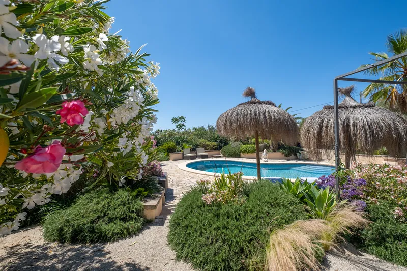 Finca for sale in Llucmajor with large plot of land — photo 3