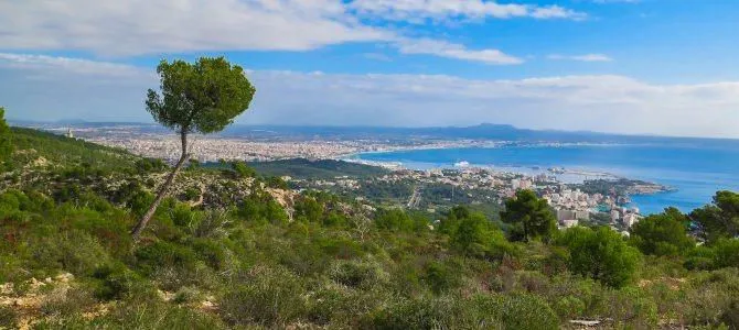 Exclusive apartment in Genoa with stunning views of the Bay of Palma — photo 6