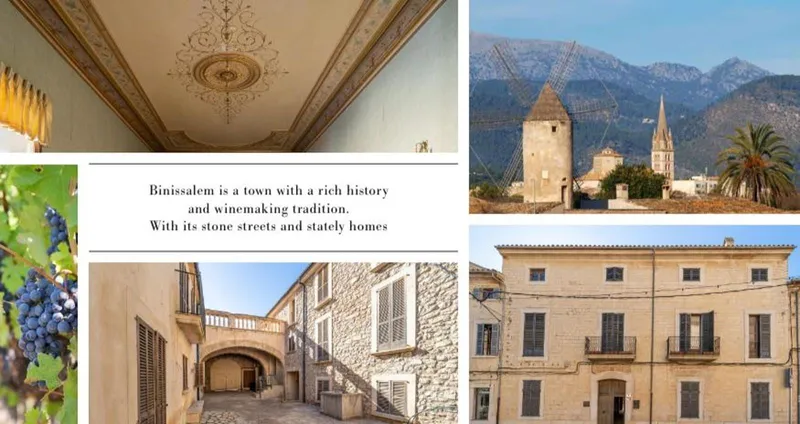 Unique Investment in Binissalem, Mallorca: Historic Hotel with Residential Project — photo 3