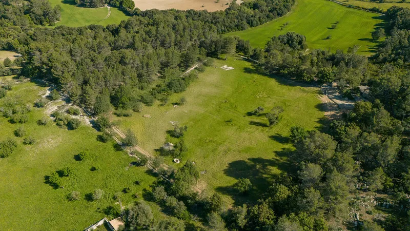 Property cmpbetudi0046uh7a3ey55kyg — photo 6