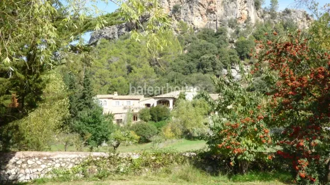 Unique and absolute private finca mansion within the Sierra de Tramuntana — photo 2