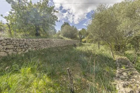 Rustic house — photo 9