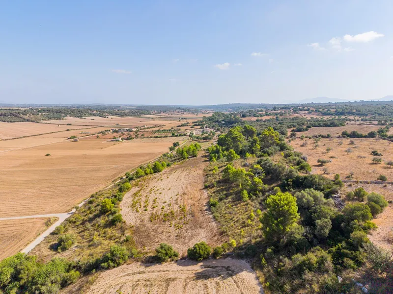 Buildable plot of 29,547 m² with open views in Petra — photo 10
