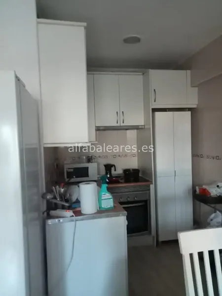 Cozy Apartment in Puerto de Alcudia — photo 5