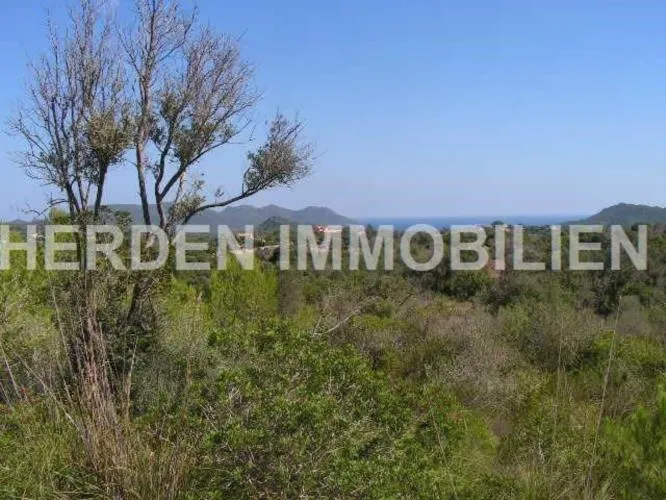 Plot of Land in Son Servera for Sale — photo 5