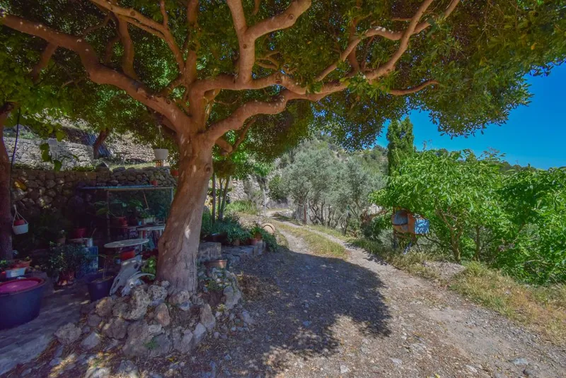 Finca in idyllic location, with stunning mountain views in Deià — photo 2