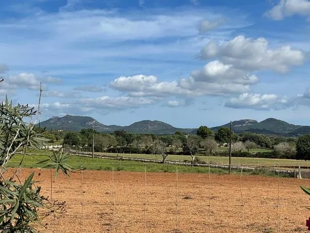 Finca/Country House for rent in Felanitx, Mallorca — photo 5