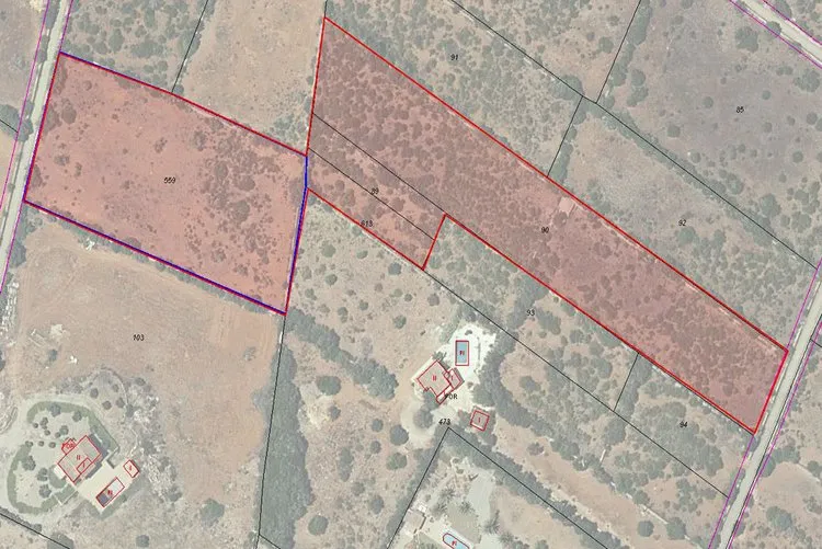 Ses Salines, finca property with building project G02913 — photo 7