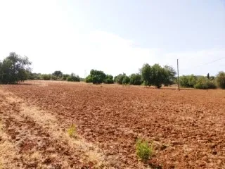 Magnificent plot for new construction Rustic land — photo 5
