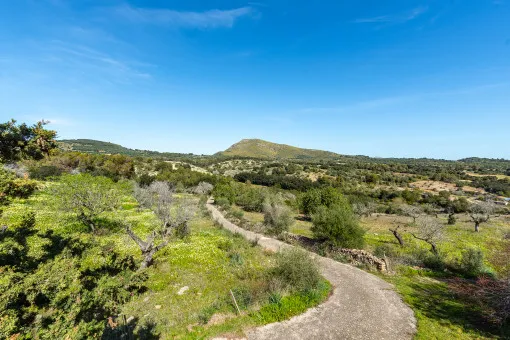 San Lorenzo, unique natural stone finca with a 50-hectare plot in Sant Llorenç — photo 2