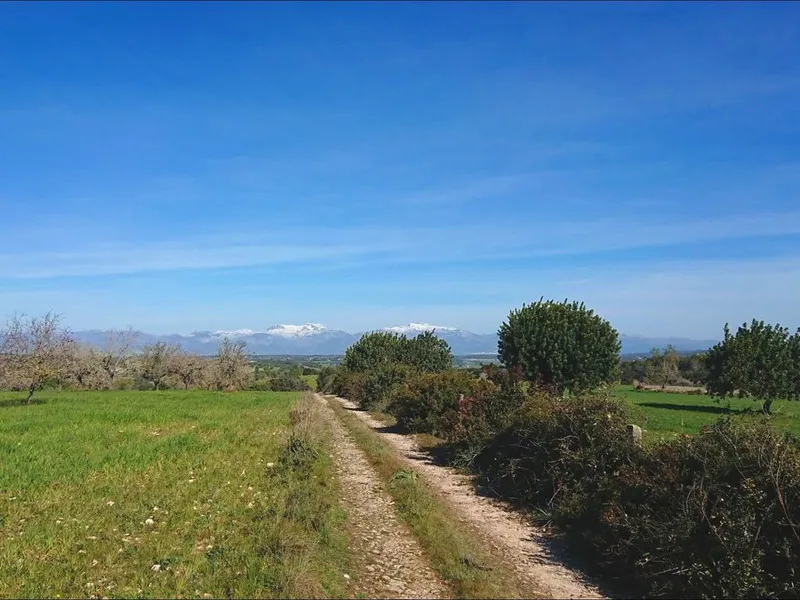 Farmhouse in Algaida, Province of Balearic Islands — photo 4