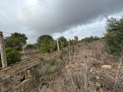 Building Site - Marratxí (Pòrtol), Plot Surface 1131m² — photo 5