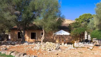 Rustic finca on the road from Manacor to Porto Cristo — photo 5