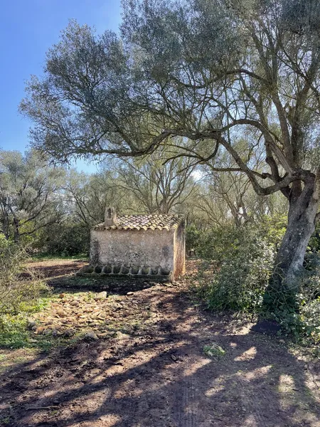 Building plot between Porreres and Felanitx in construction — photo 9