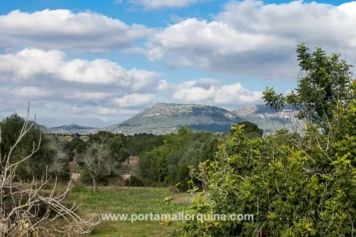 Llucmajor, spacious finca with 3 independent plots near Llucmajor — photo 5