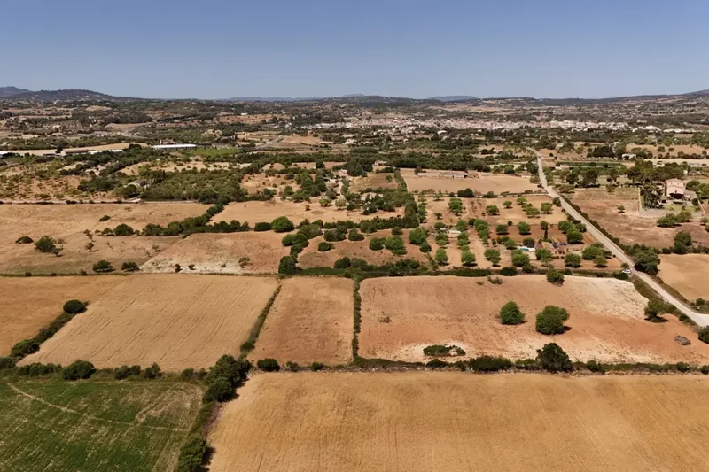 Land for Sale in Sant Llorenç des Cardassar — photo 6