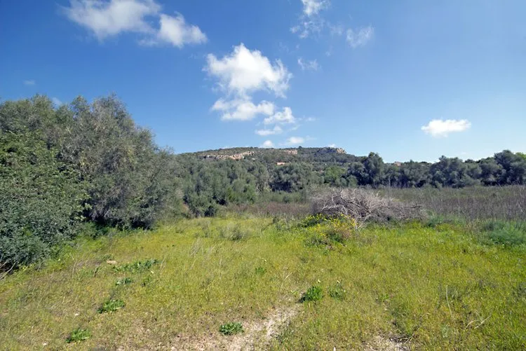 S'Alqueria Blanca, rural property in a prime location G02961 — photo 2