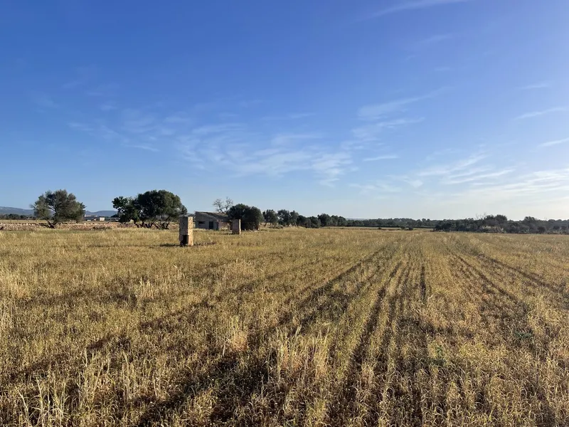 Plot Between Campos and Sa Rapita — photo 1