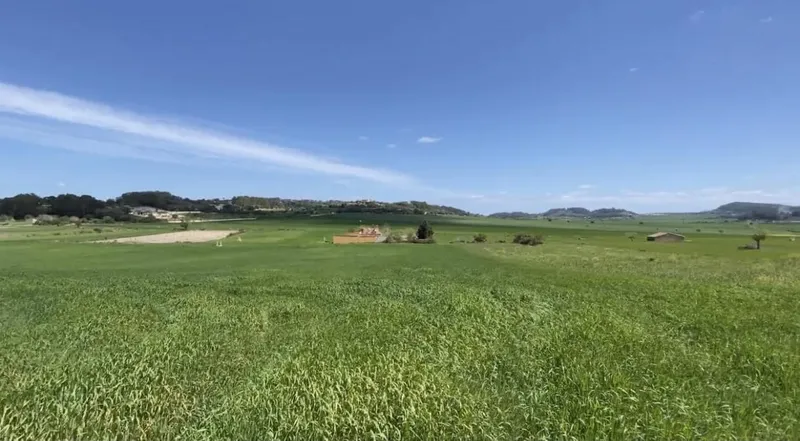 Finca/Country House for sale in Lloret de Vista Alegre — photo 11