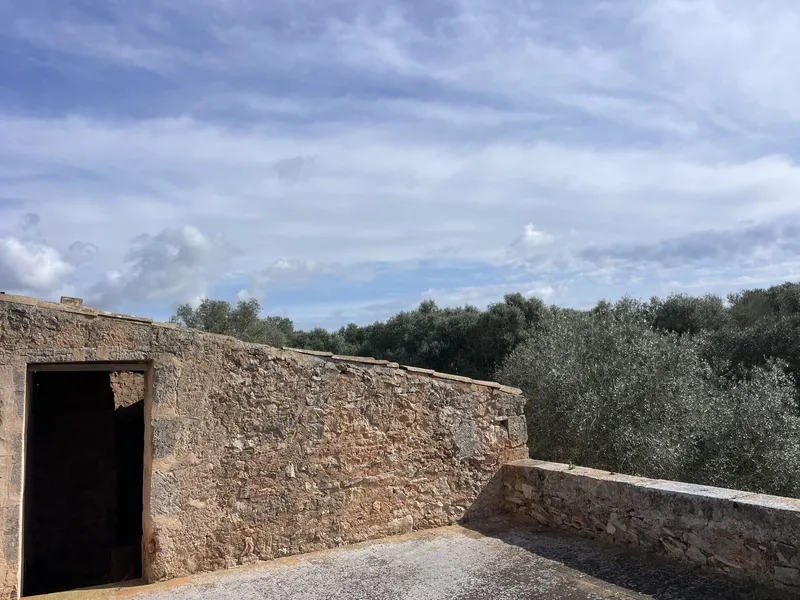 Rustic finca for full renovation with distant views of the Sierra de Tramuntana, Campos — photo 7