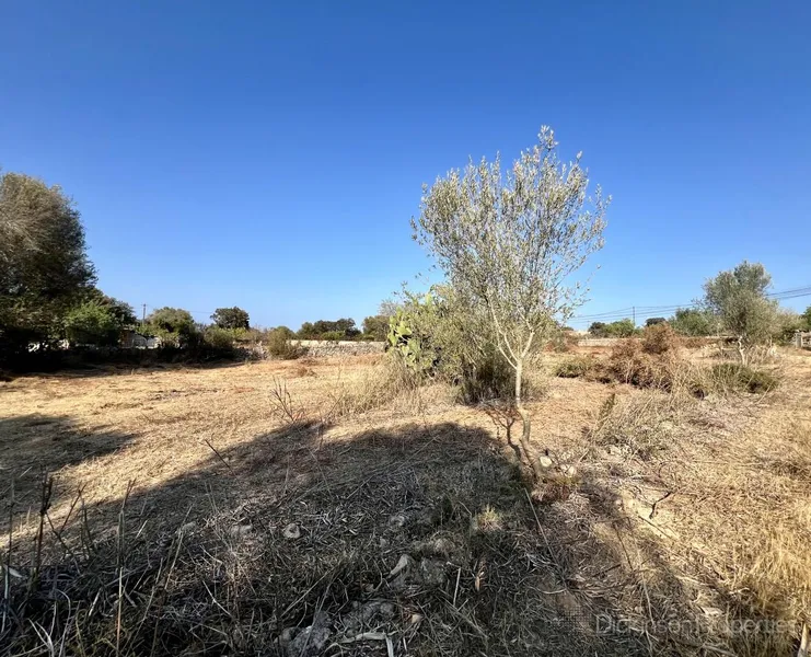 House for sale in Costitx, Mallorca, Baleares, Spain — photo 6