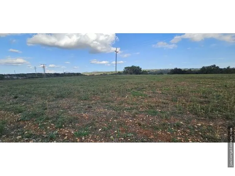 Plot for sale on Camino de Son Reixach s/n — photo 4