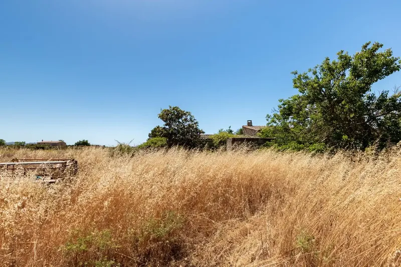 In an environment of absolute calm, surrounded by nature and with the charm of the rural landscape of Felanitx, this magnificent estate extends — photo 9