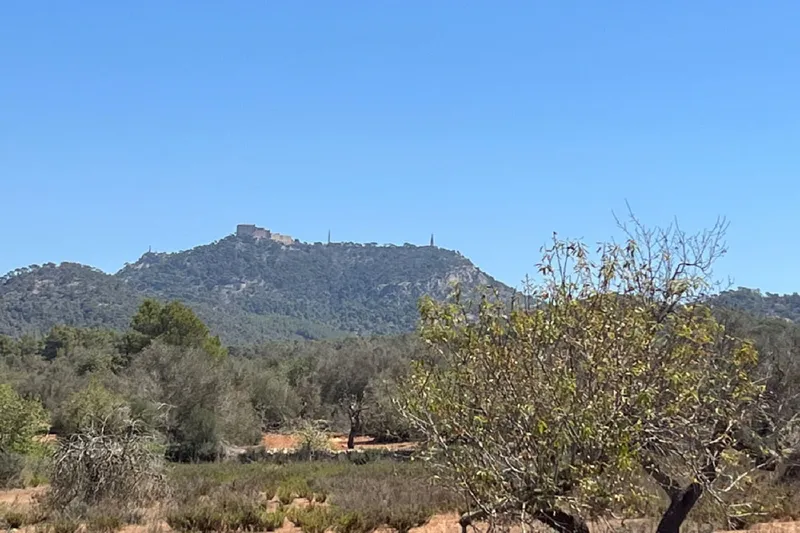 Building plot near Es Carritxó with views and approved finca project — photo 5