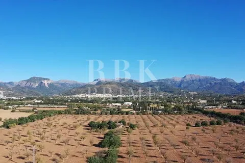 Land in Inca, Mallorca — photo 8