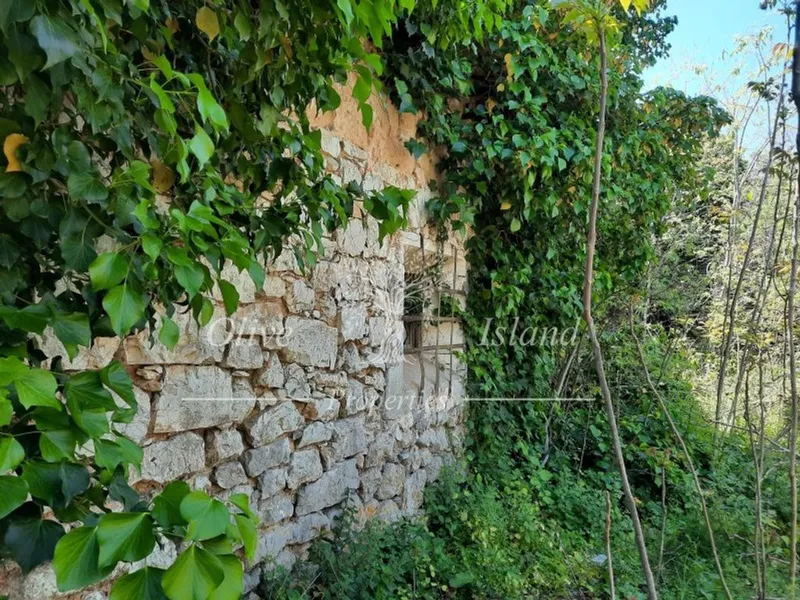 Mansion in Binissalem, Province of Balearic Islands — photo 8