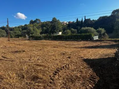 Rustic property - Campanet , Plot Surface 1765m 2 . — photo 8