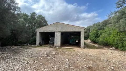 Plot — photo 8