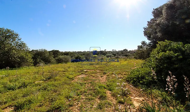 Plot with Project in Santanyí — photo 2