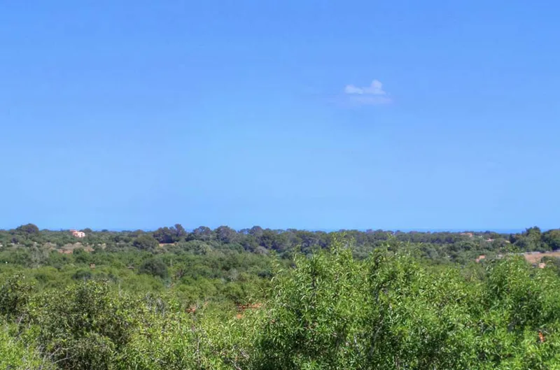 Fantastically situated finca near Alquería Blanca — photo 8