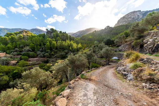 Deià, large rustic estate in the mountains a few minutes from Deià — photo 4