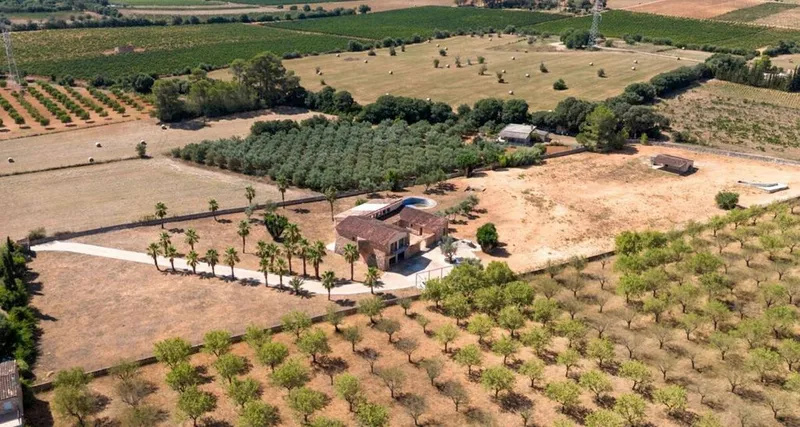 Rural or Farmhouse in Binissalem, Province of Balearic Islands — photo 5