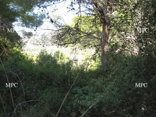 Plot with excellent residential area with sea views in Canyamel — photo 1