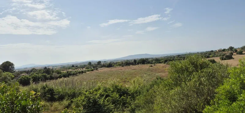 Rustic plot in Manacor — photo 5